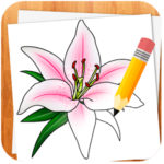 How to Draw Flowers