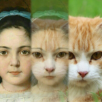 Zooface – GIF Animal Morph