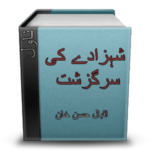Novel Shahzady Ki Sarguzasht