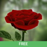 3D Rose Live Wallpaper Free
