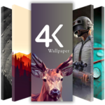 خلفيات 4K كاملة HD خلفيات (الخلفيات)