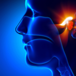 ENT and Otolaryngology