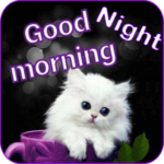 Good Morning – Good Night Messages Images GIF