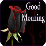 Good Morning Messages And Images
