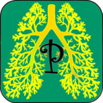 براناياما اليوغا برو