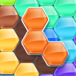 Hexa Puzzle Block
