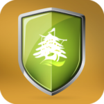 Consumer Protection Lebanon