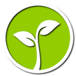 Lucky tree – plant your own tree
