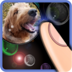 Photo Bubble Screensaver – Live Wallpaper