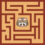 Maze Cat – Rookie