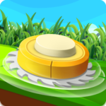 Grass Cut – Amaze Bob’s House