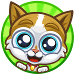 Kitty – My Fitness Cat