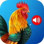 نغمات الحيوانات والطيور