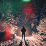 الرجعية الكاميرا