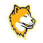 Akita VPN: Fast, Secure‏