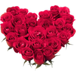 ملصقات الزهور واتساب ملصقات واتس اب WAStickerApps