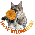 ملصقات واتساب القطط وملصقات واتس اب WAStickerApps