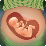 حاسبة الحمل وموعد الولادة – متابعة الحمل أسبوعياً