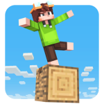 برنامج One Block Map for Minecraft‏