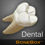 BoneBox™ – Dental Lite