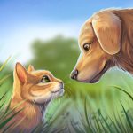 Pet World – My animal shelter – take care of them
