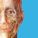 Human Anatomy Atlas 2023‏